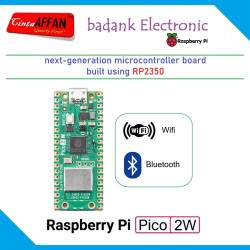 Raspberry Pi Pico 2W - with Wireless  Bluetooth Onboard